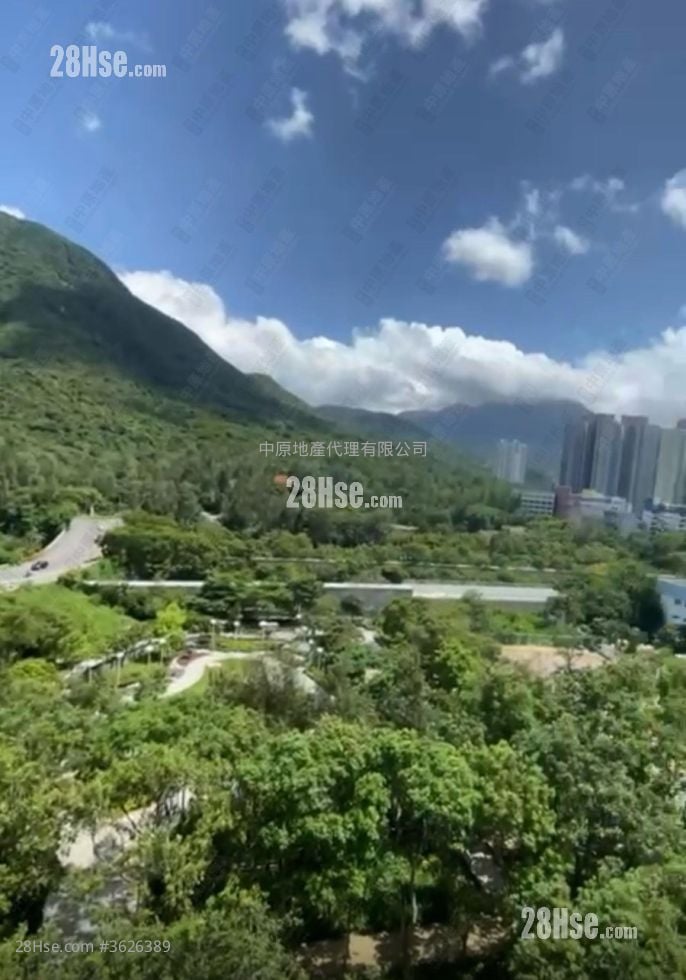 Coastal Skyline Rental 2 Bedrooms , 1 Bathroom 485 ft² Coastal Skyline Rental 2 Bedrooms , 1 Bathroom 485 ft²