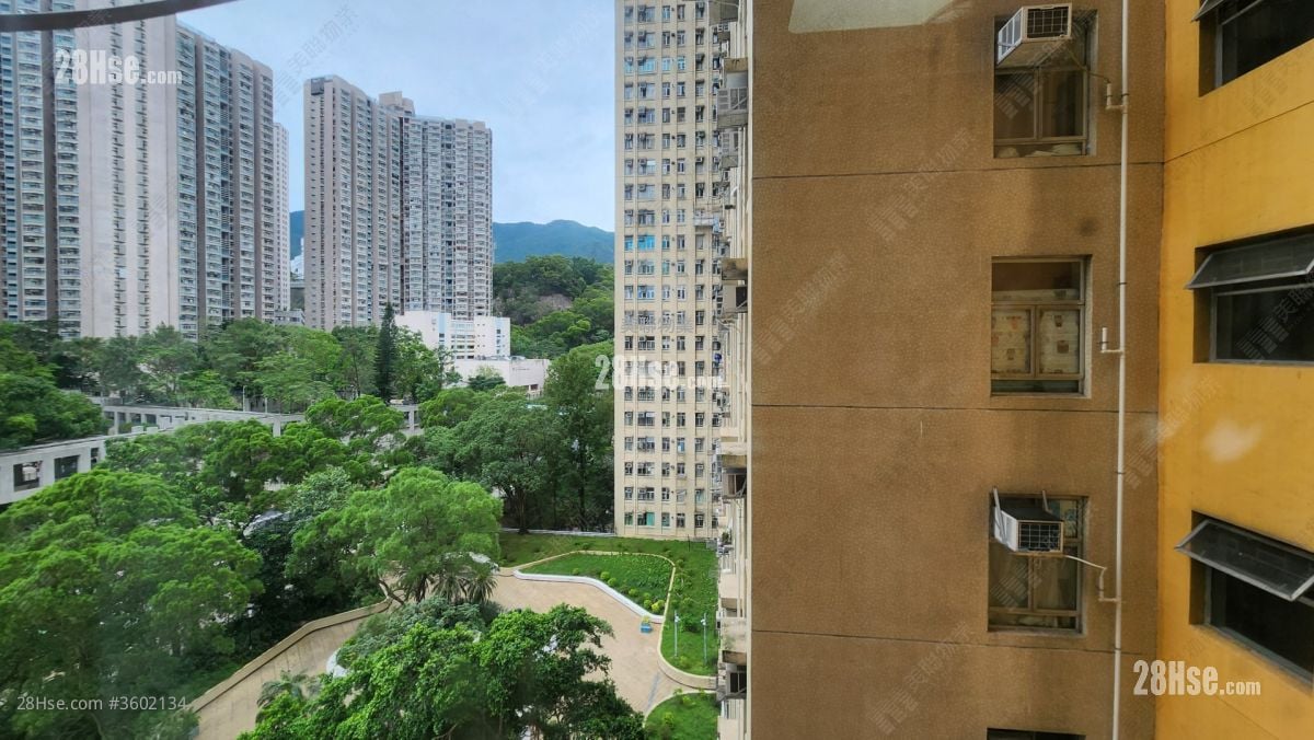 龙蟠苑 租盘 1 房 , 1 浴室 353 平方尺