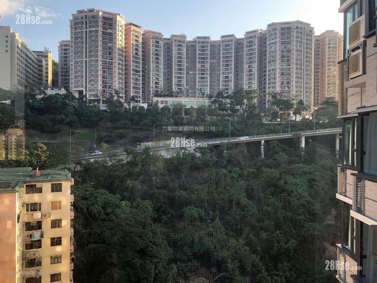 柏蔚山 售盘 5+ 房 , 3 浴室 999 平方尺