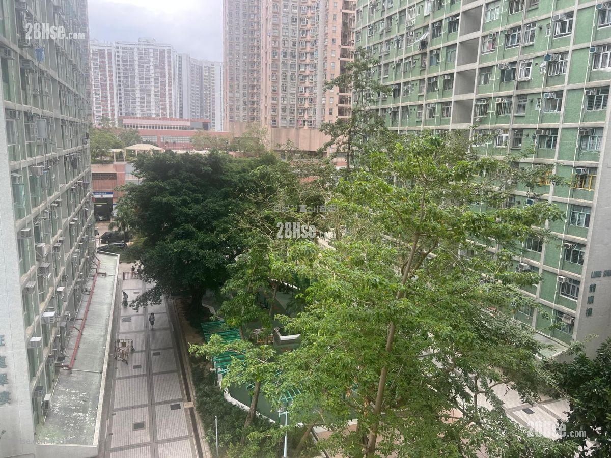 黄大仙下邨 售盘 开放式间隔 , 1 浴室 385 平方尺