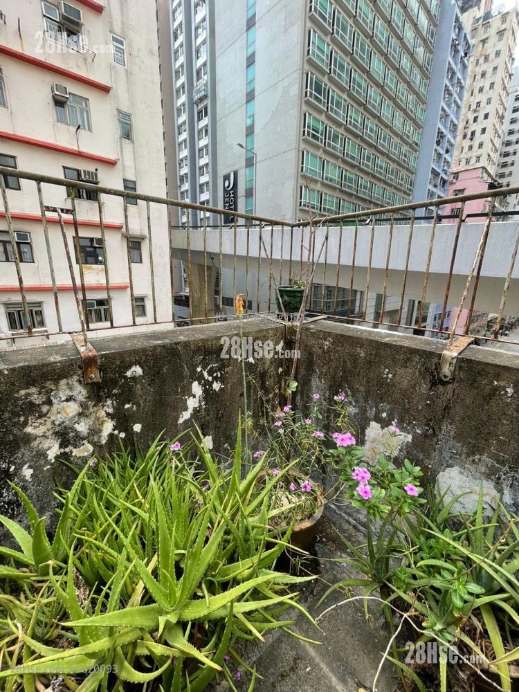 恒隆银行西区分行大厦 售盘 1 浴室 243 平方尺