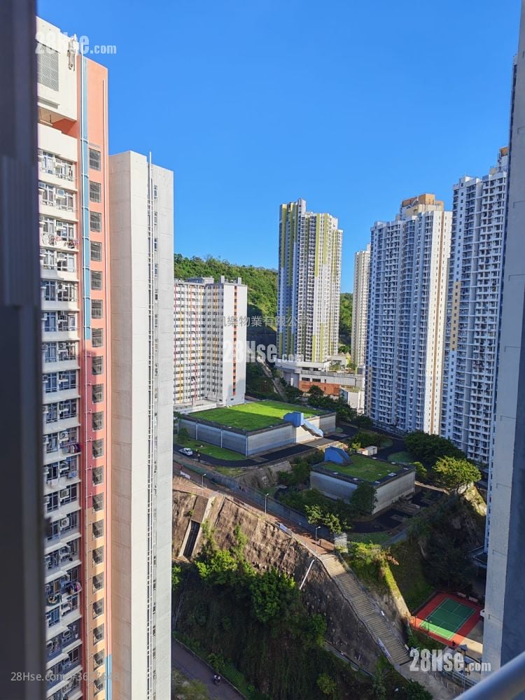 Choi Hing Court Sell 2 Bedrooms , 1 Bathroom 454 ft²