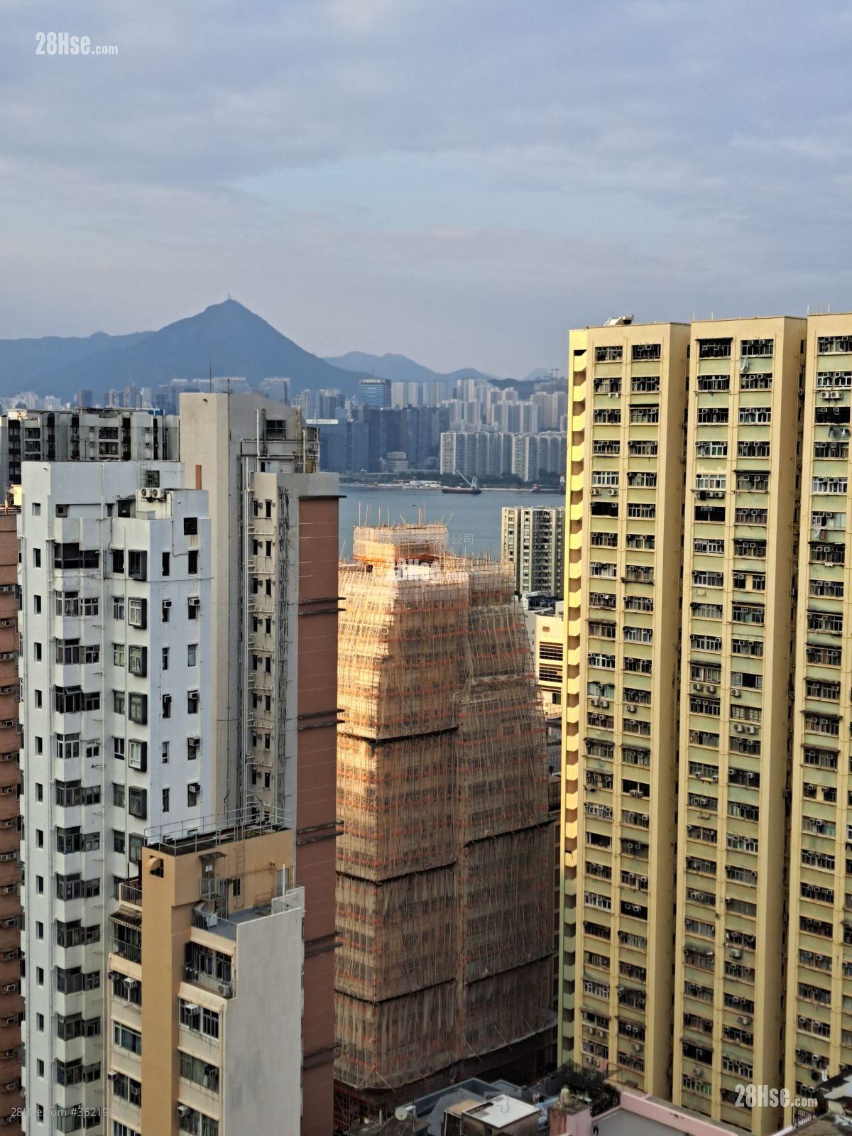 Parker33 Rental Studio , 1 Bathroom 209 ft²