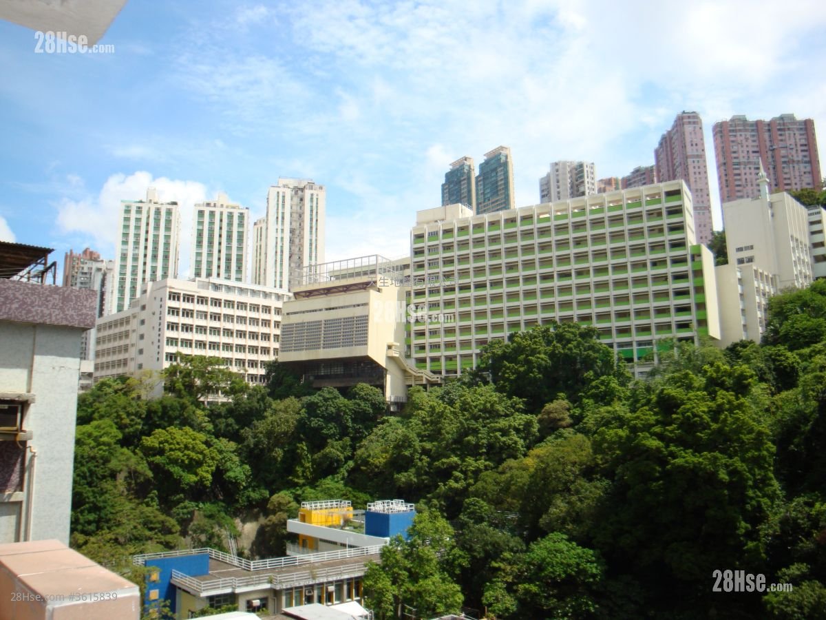 维景台 租盘 3 房 , 2 浴室 932 平方尺