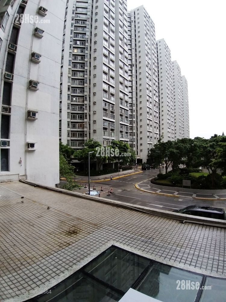 丽港城 售盘 748 平方尺