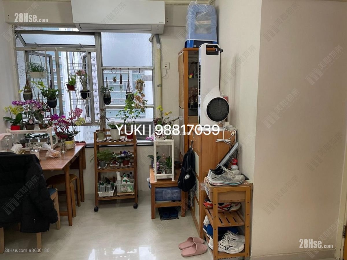 沙田第一城 售盤 3 房 , 1 浴室 451 平方呎