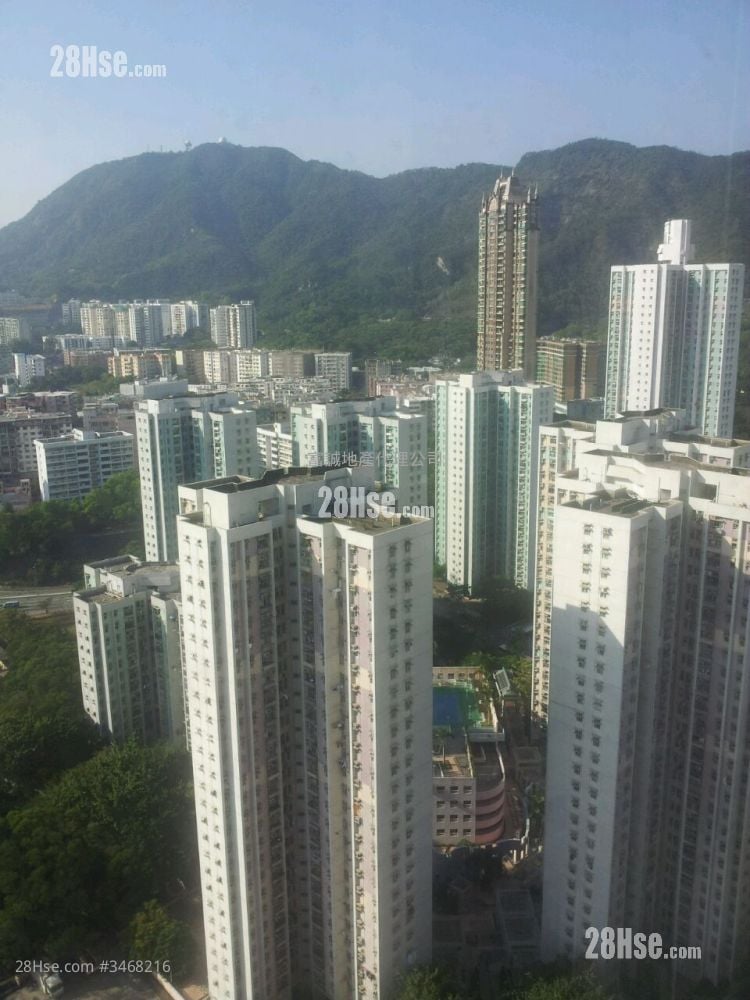 德強苑 售盤 3 房 , 1 浴室 574 平方呎