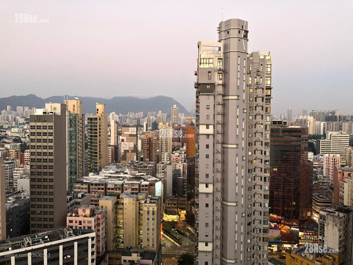 Mod 595 Rental 1 Bedroom , 1 Bathroom 374 ft²