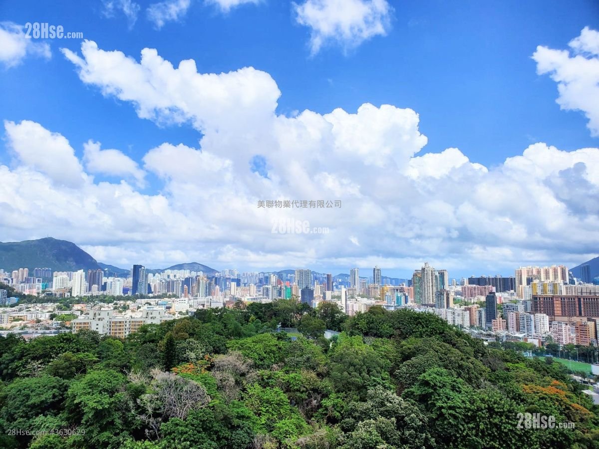 景怡峰 售盤 1 房 , 1 浴室 269 平方呎