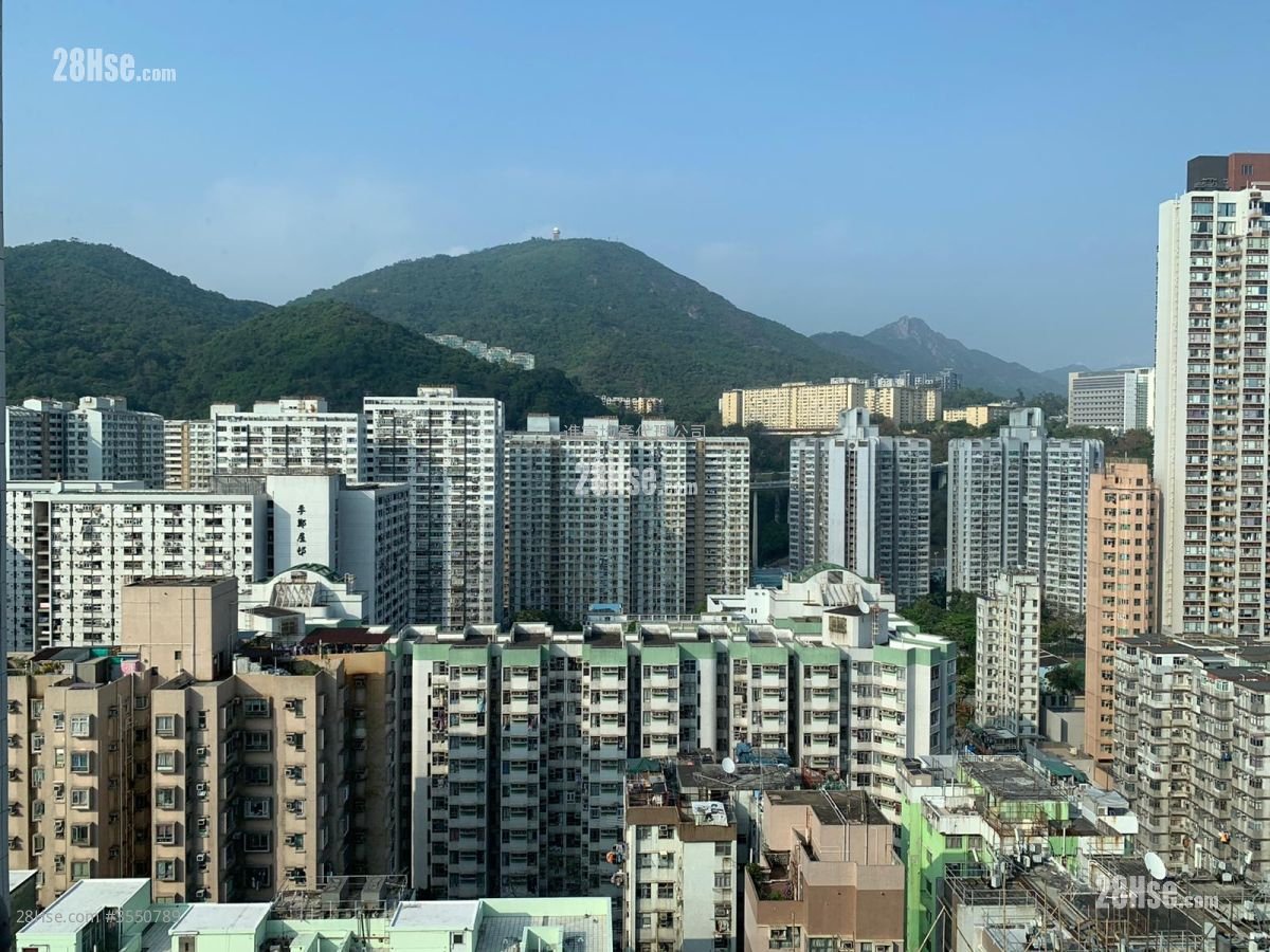 悅雅 租盤 開放式間隔 , 1 浴室 173 平方呎