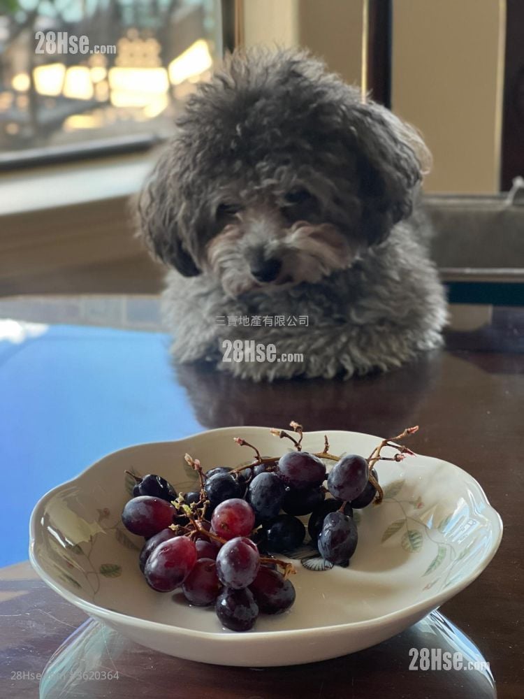 寶樹樓 售盤 2 房 , 1 浴室 505 平方呎