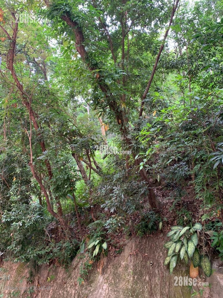 太成楼 售盘 2 房 , 1 浴室 312 平方尺