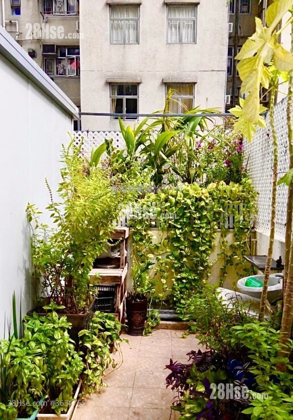 Tak Fat Building Sell 1 Bedroom , 1 Bathroom 265 ft²