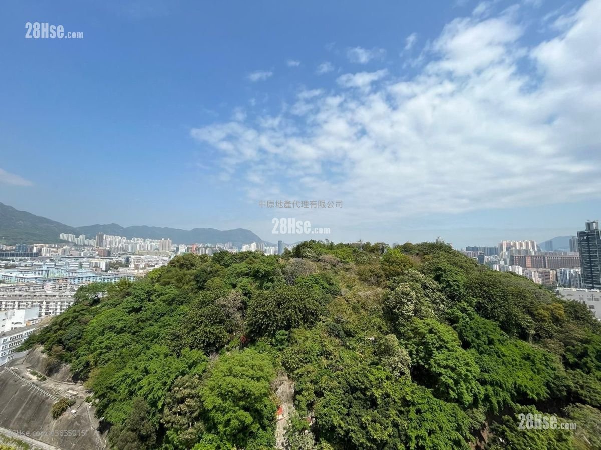 景怡峰 售盘 1 房 270 平方尺