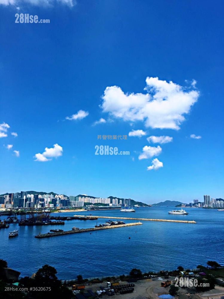 利港湾18 租盘 1 房 , 1 浴室 342 平方尺