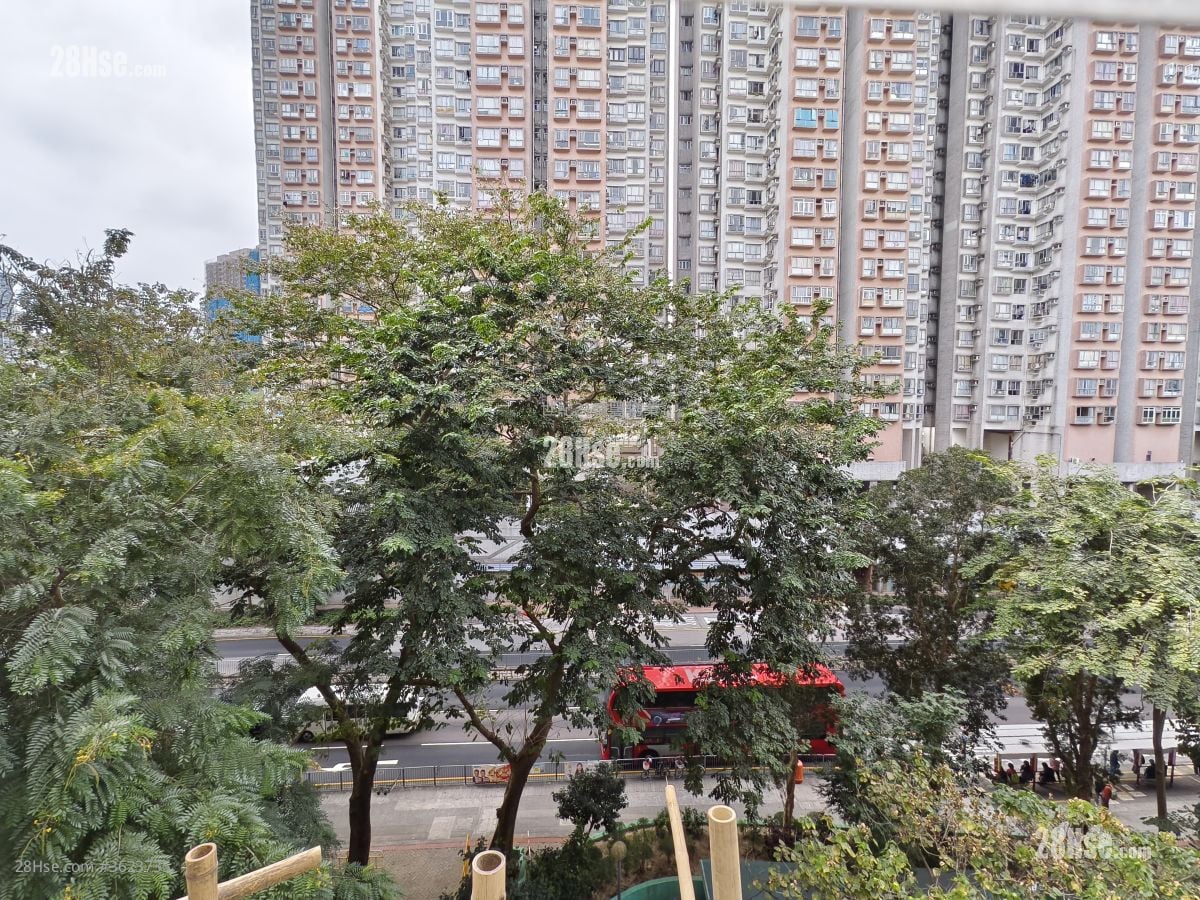 Cheung Wah Estate Sell Studio , 1 Bathroom 283 ft²