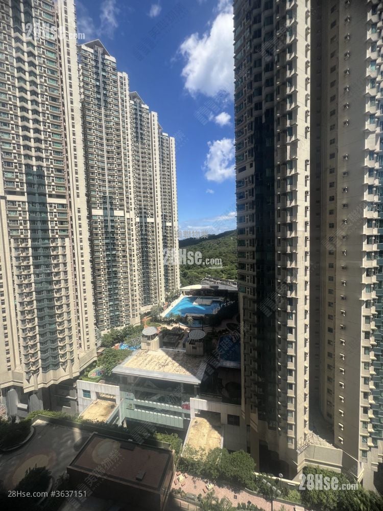 君傲湾 租盘 670 平方尺