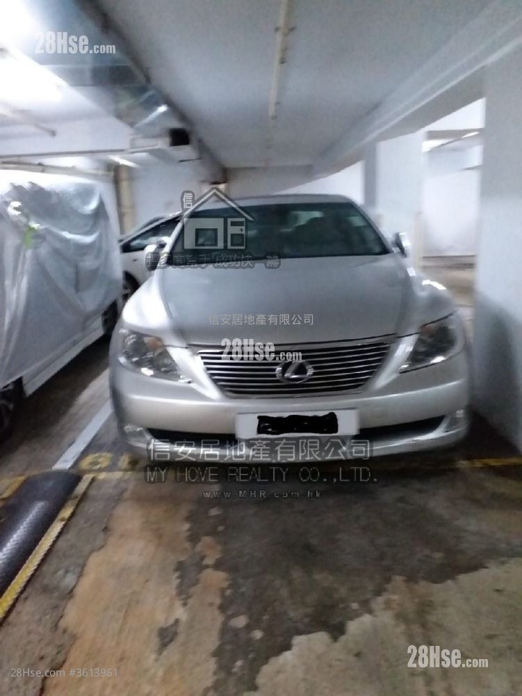 Handsome Court Rental