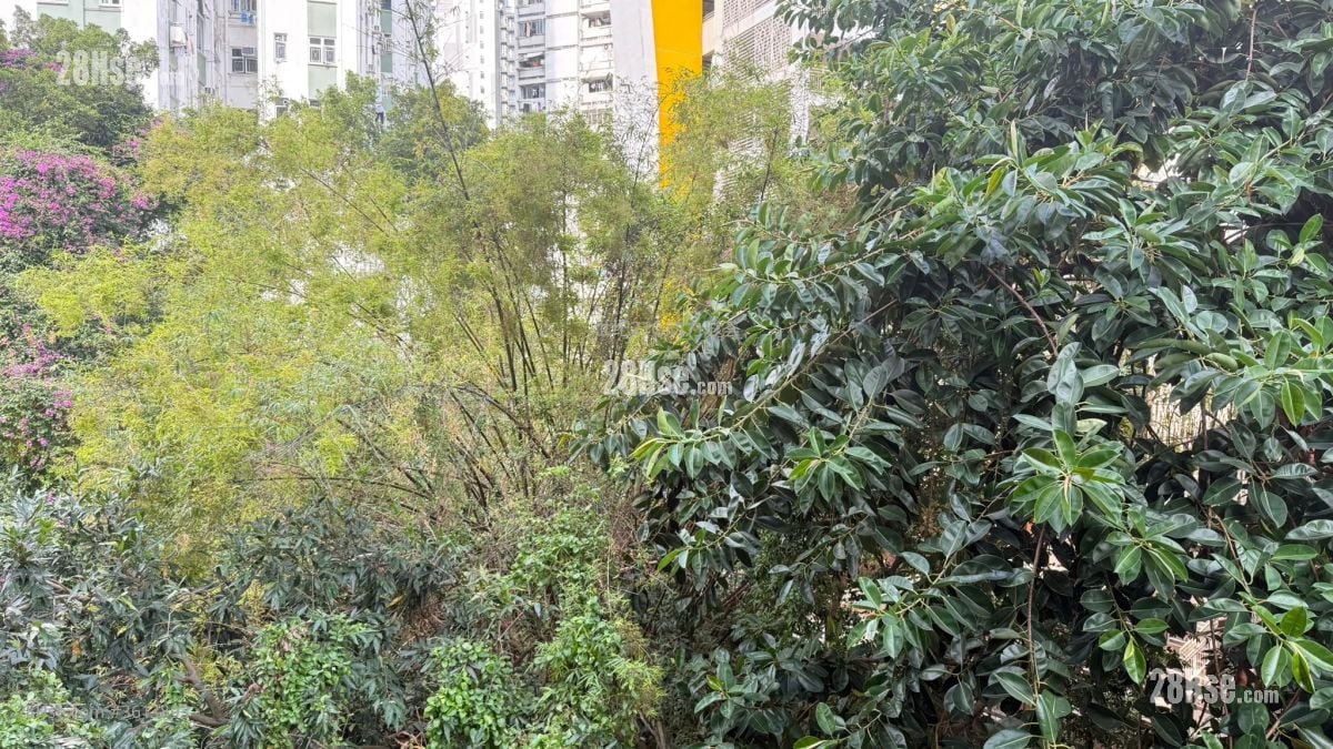 傲華 租盤 開放式間隔 , 1 浴室 198 平方呎