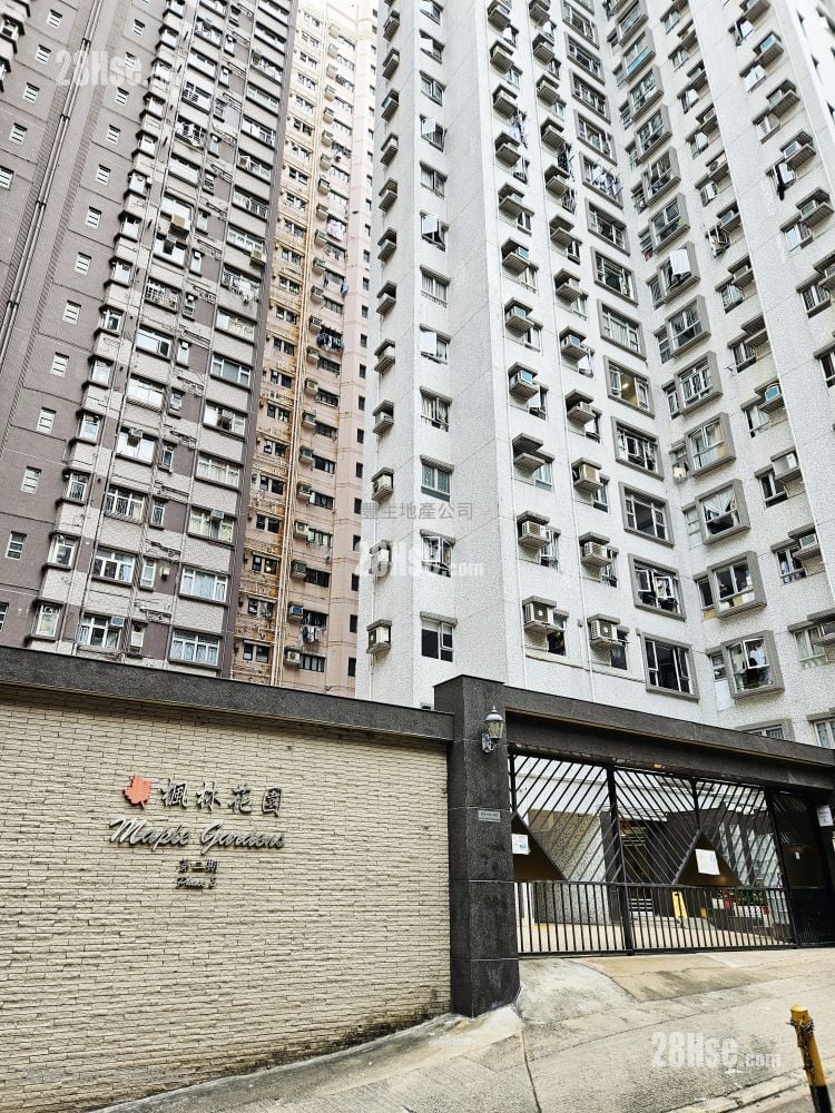 Maple Gardens Rental 3 Bedrooms , 2 Bathrooms 580 ft²