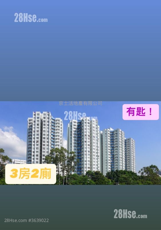 文礼阁 租盘 637 平方尺