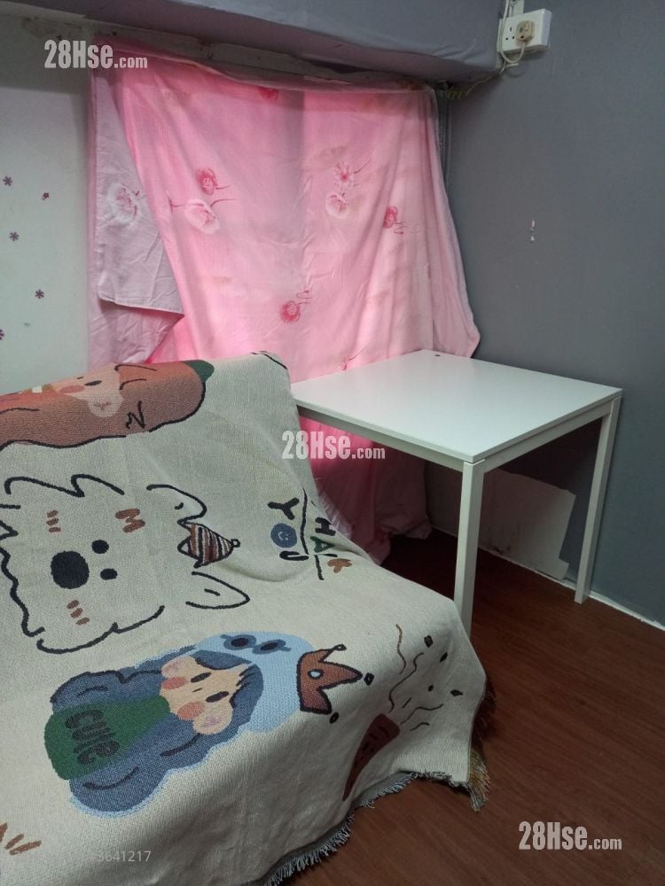 㘭头东成里 租盘 250 平方尺