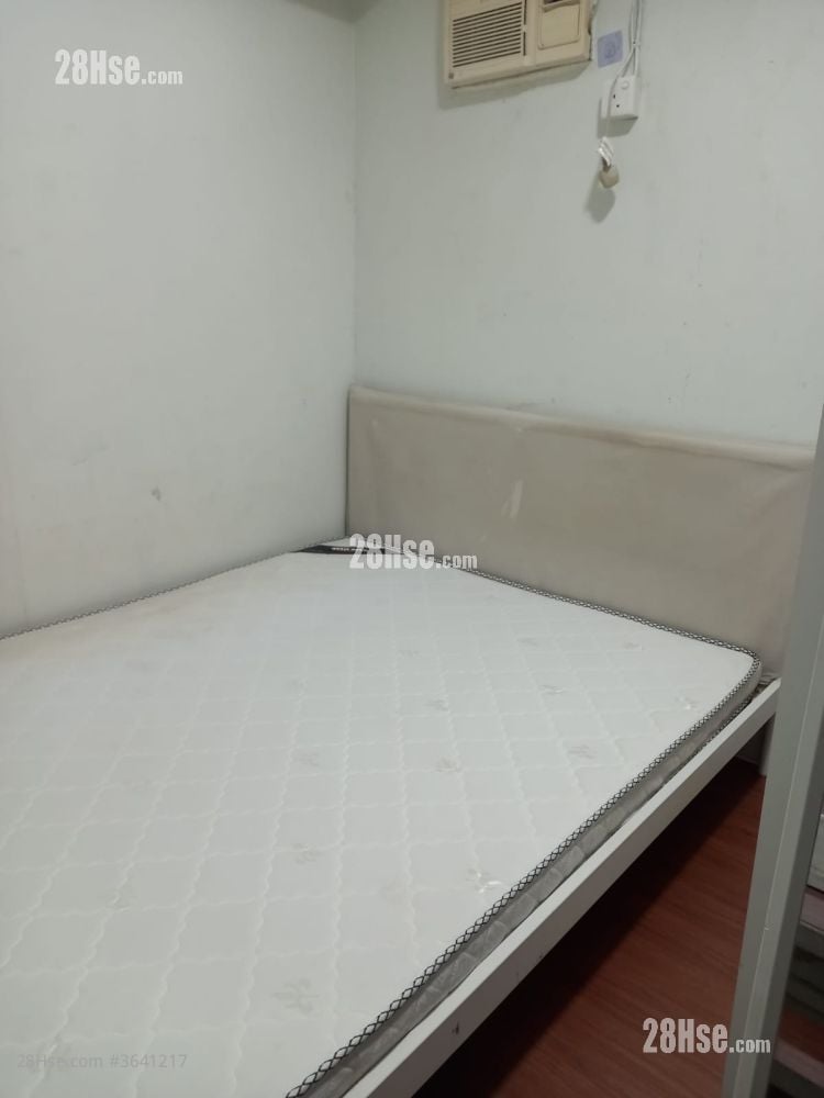 㘭头东成里 租盘 250 平方尺