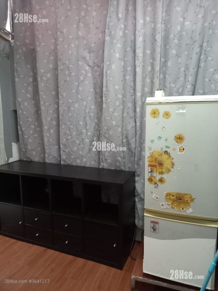 㘭头东成里 租盘 250 平方尺