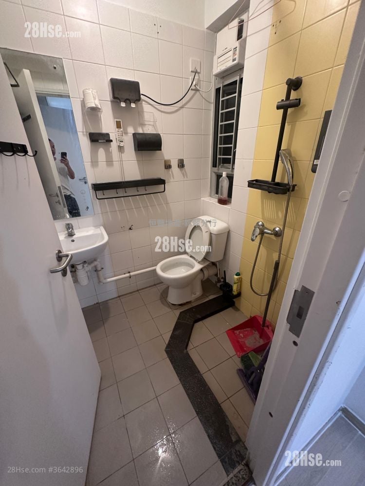 Dip Tsui Court Sell Studio , 1 Bathroom 287 ft²