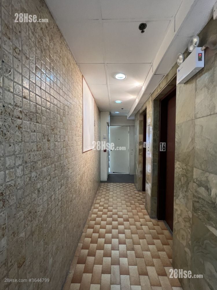 其它: 16 樓走廊