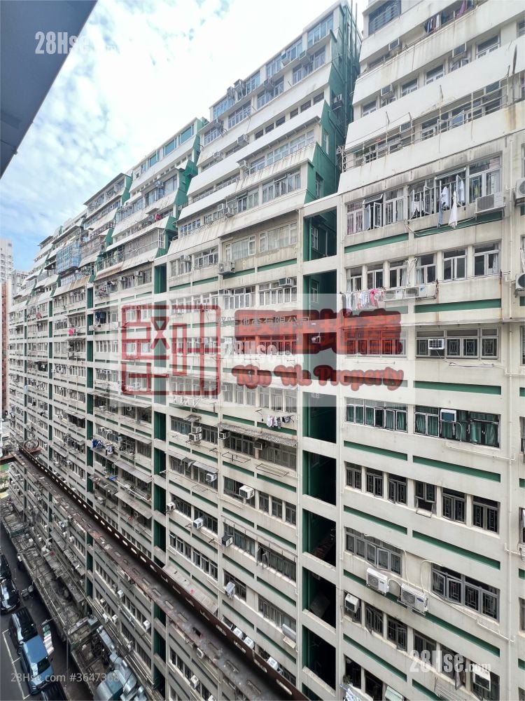 单幢楼房 租盘 开放式间隔 , 1 浴室 90 平方尺