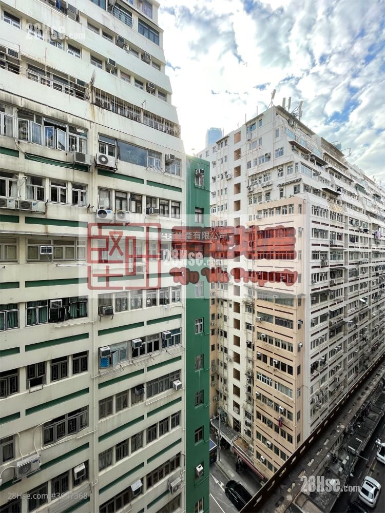 单幢楼房 租盘 开放式间隔 , 1 浴室 90 平方尺