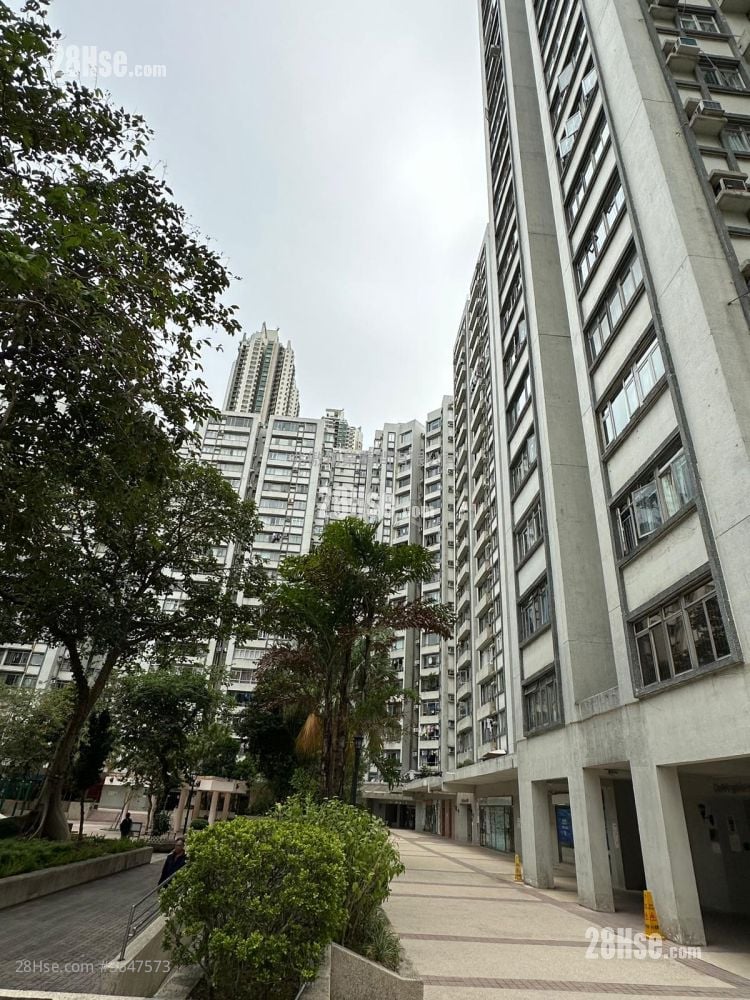 鯉景灣 售盤 2 浴室 565 平方呎