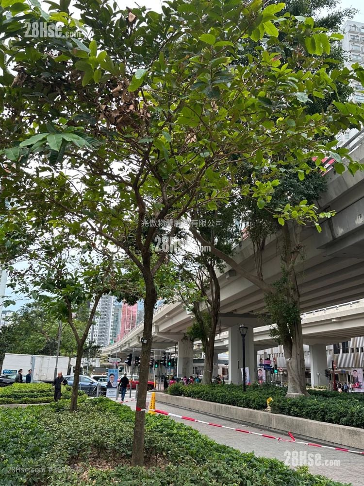 鯉景灣 售盤 2 浴室 565 平方呎