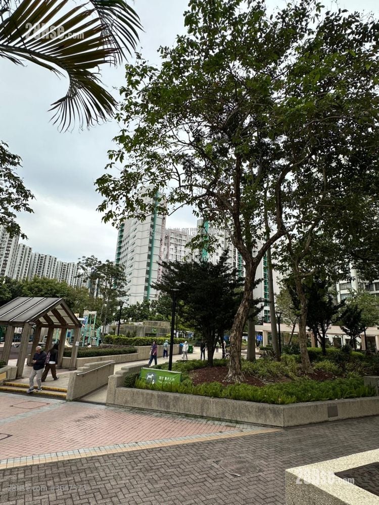 鯉景灣 售盤 2 浴室 565 平方呎