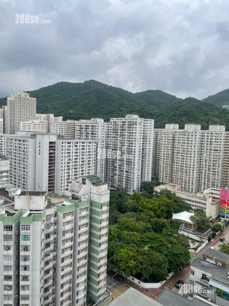 The Ascent Sell 1 Bedroom 307 ft²