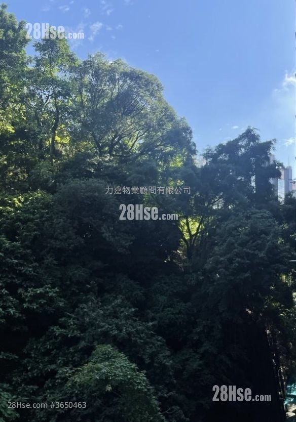 金龍大廈 售盤 2 房 , 1 浴室 589 平方呎