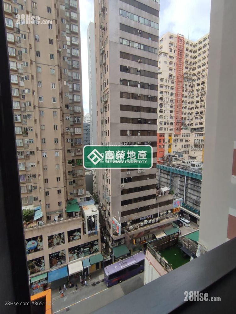 Bright Moon Rental 1 Bedroom , 1 Bathroom 283 ft²