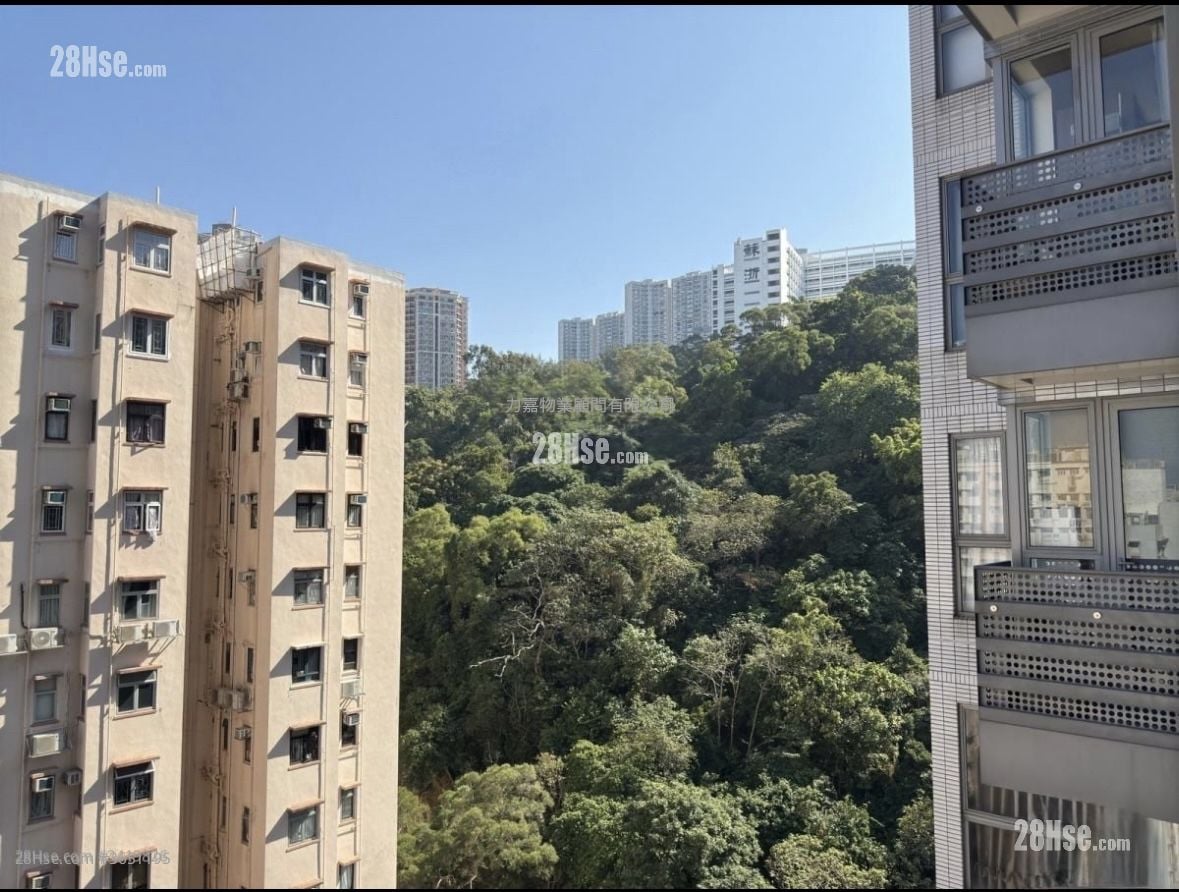 Lime Habitat Sell 1 Bedroom , 1 Bathroom 427 ft²