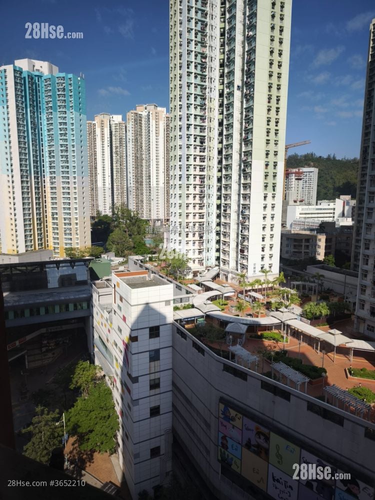 康田苑 售盘 3 房 , 1 浴室 550 平方尺