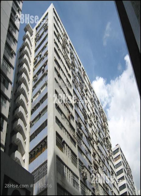 金豪工業大廈 售盤