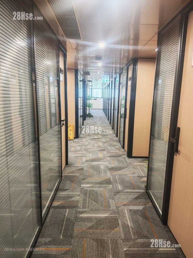One Vista Rental