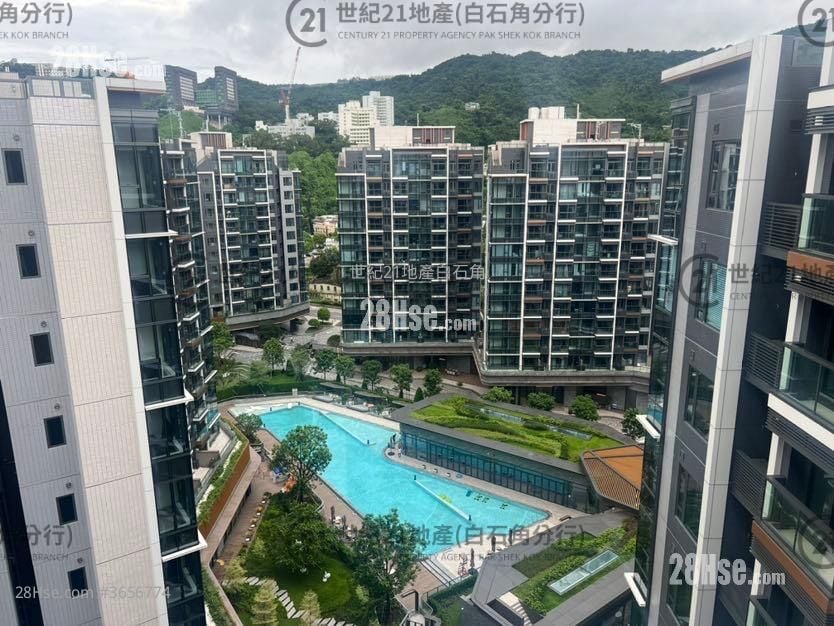 Silicon Hill Rental 400 ft²