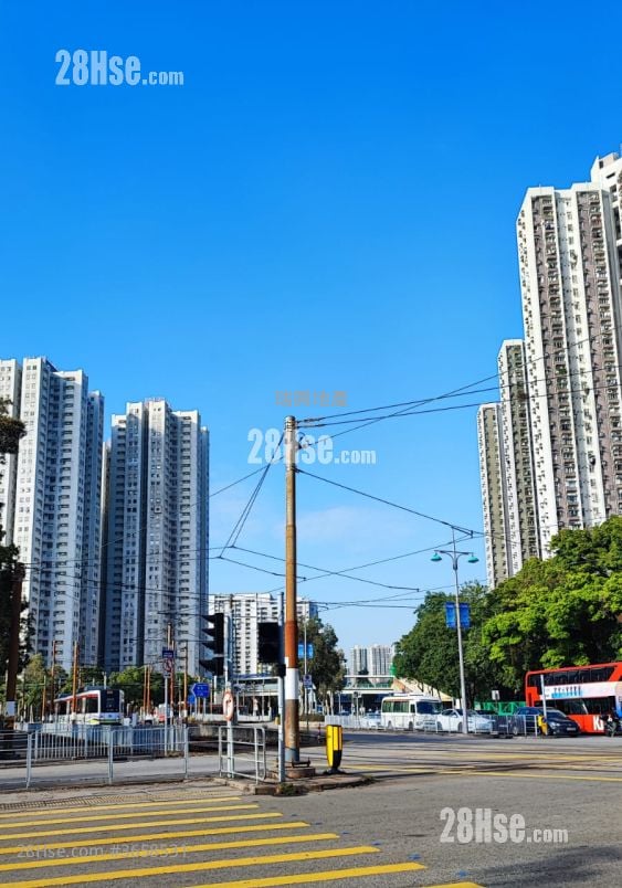 My Loft Rental 1 Bedroom 425 ft²