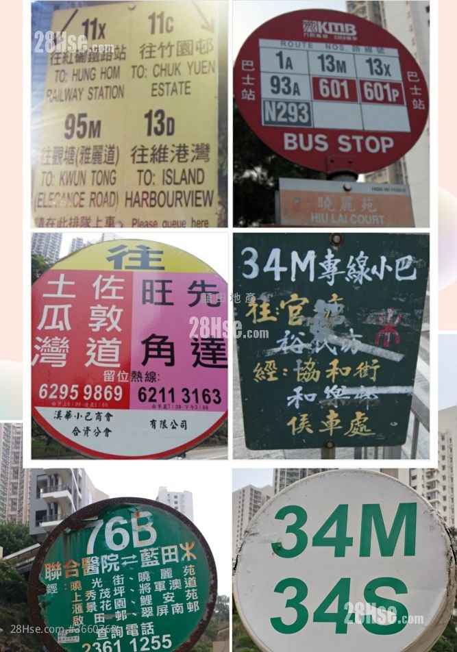 晓丽苑 售盘 2 房 436 平方尺