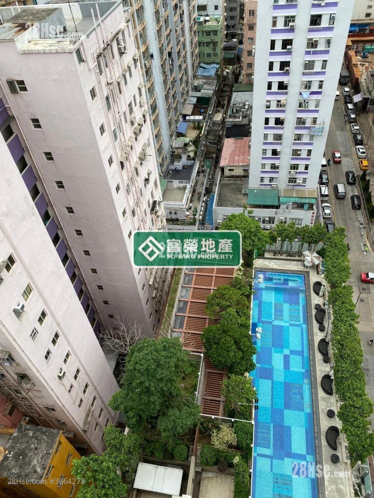 Lime Stardom Rental Studio , 1 Bathroom 273 ft²