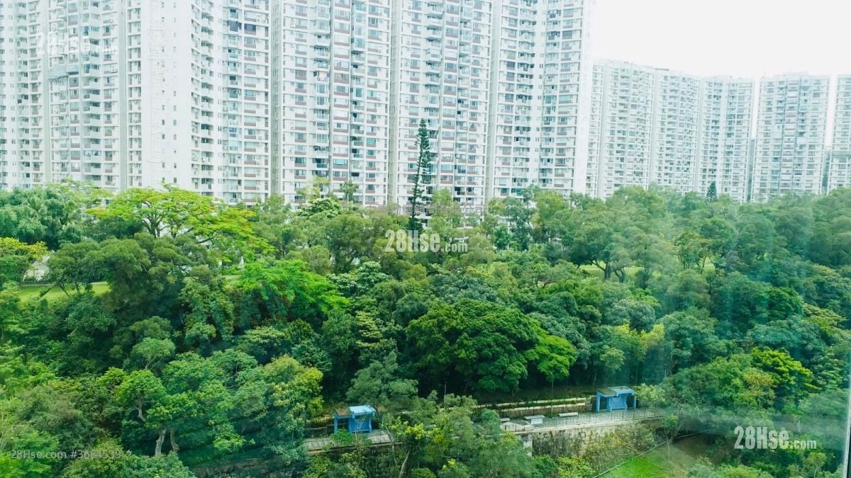 宝马山花园 售盘 3 房 , 2 浴室 806 平方尺