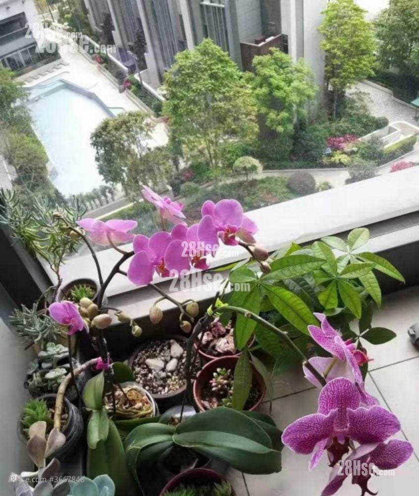 天晉 租盤 80 平方呎