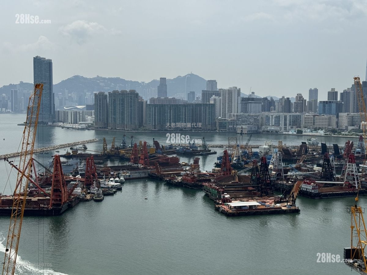 维港双钻 售盘 247 平方尺