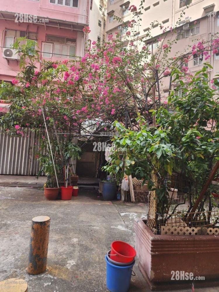 Lai Tong Building Sell 3 Bedrooms , 1 Bathroom 407 ft²